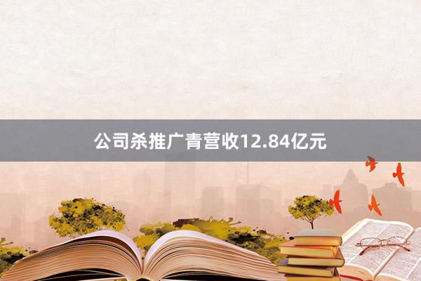 公司杀推广青营收12.84亿元